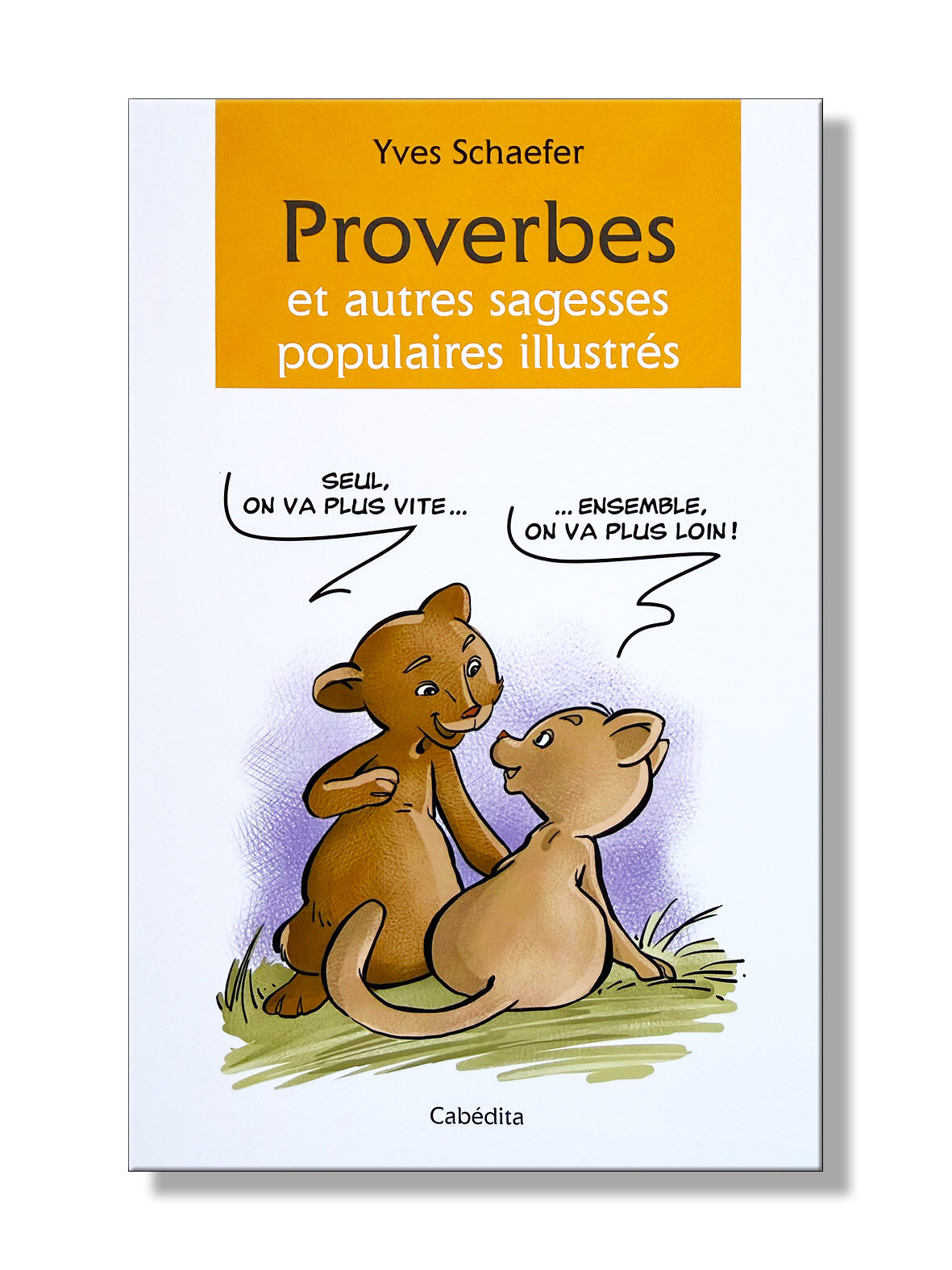 Proverbes populaires illustrés - 2026